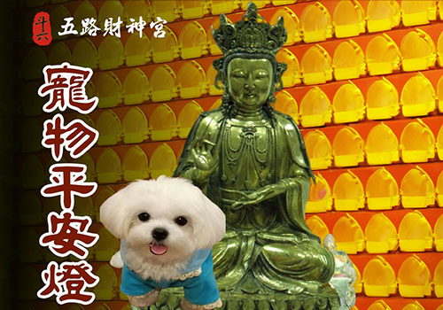 寵物平安燈
