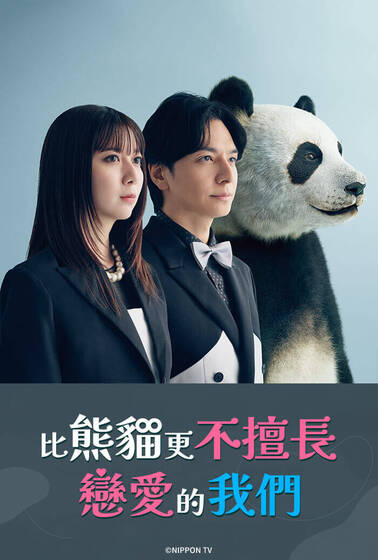 比熊貓更不擅長戀愛的我們