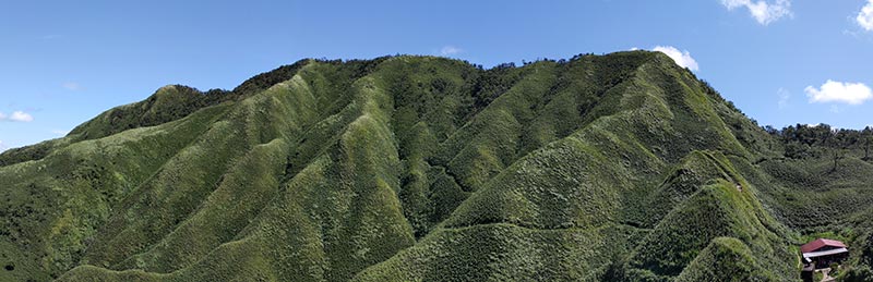 抹茶山