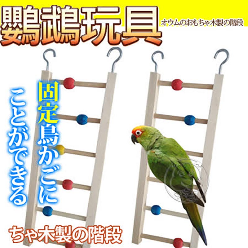 鸚鵡玩具木樓梯
