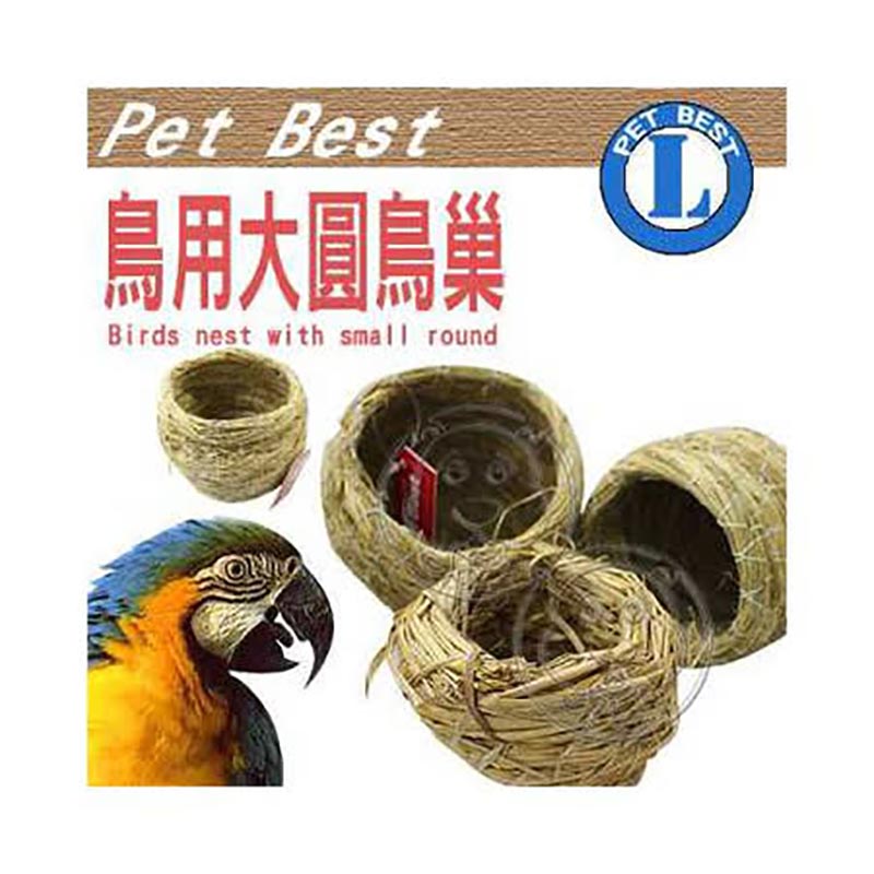 鳥巢