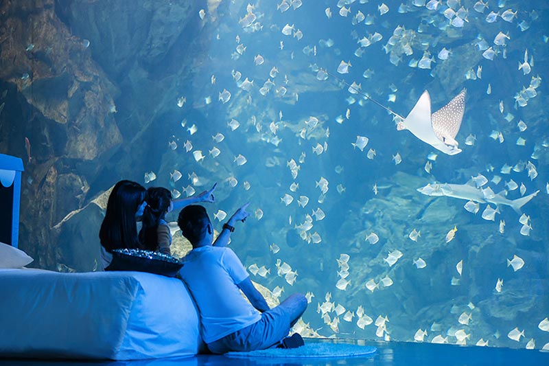 海洋生物