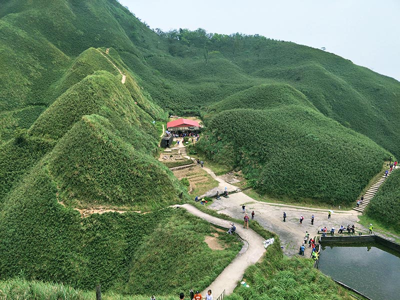 抹茶山景致