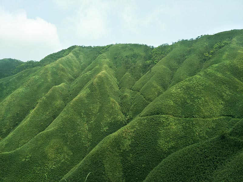 抹茶冰淇淋山