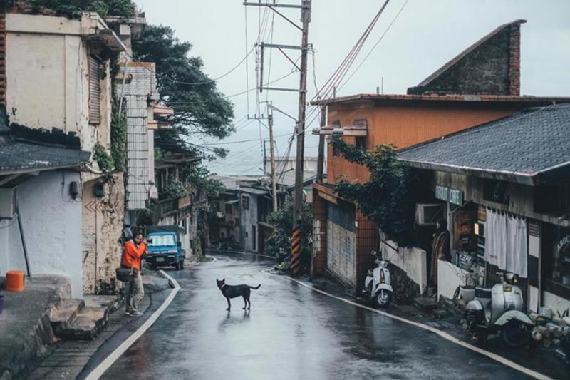 水湳洞附近的山路旁