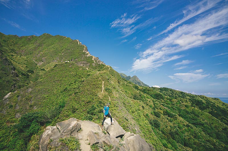 郊山之王劍龍陵