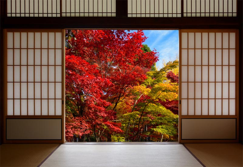 日本