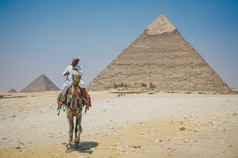 金字塔園區內的駱駝都是要收費的
