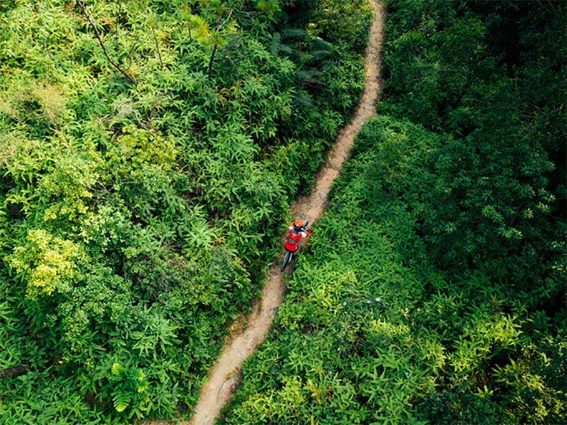 登山