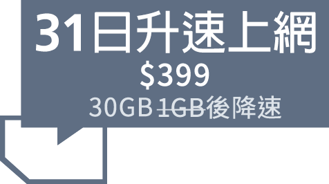 加速上網30日