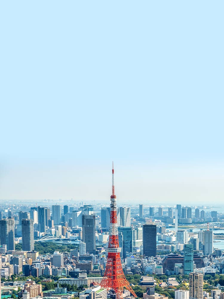 日本定量包 $249/1GB