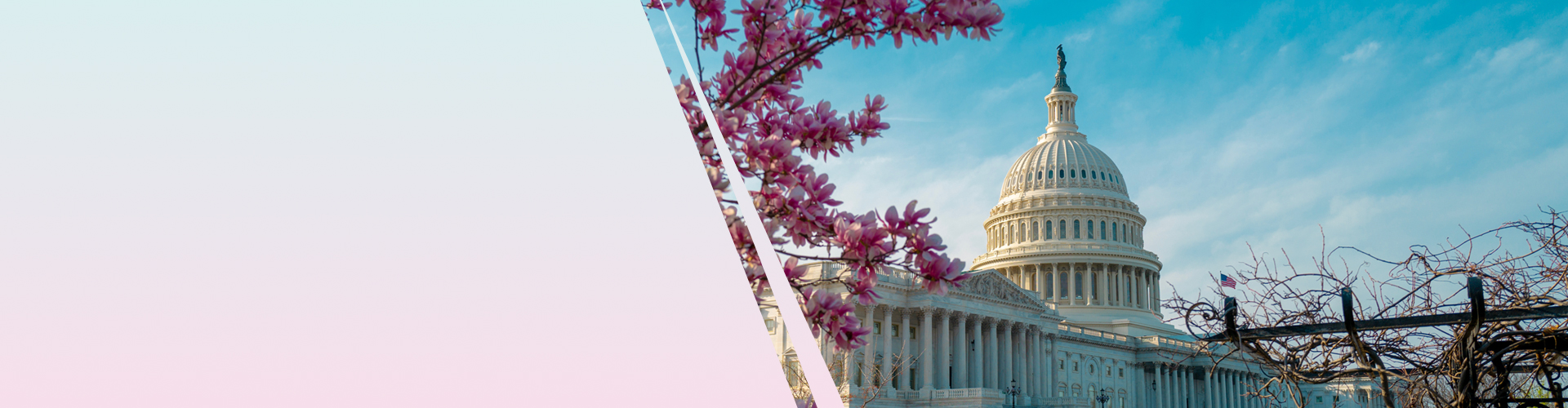 瘋玩美加 漫遊上網吃到飽$299/天