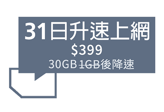 加速上網30日