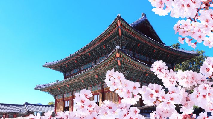 南韓計日型數據漫遊