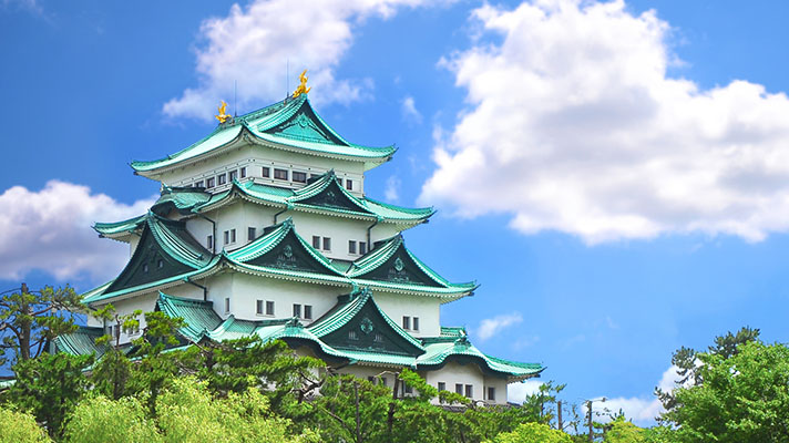 日本漫遊上網5日 5GB 